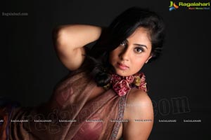 Bhanu Shree Mehra Photo Shoot