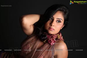 Bhanu Shree Mehra Photo Shoot