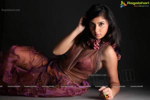 Bhanu Shree Mehra Photo Shoot