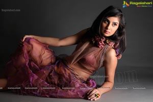 Bhanu Shree Mehra Photo Shoot