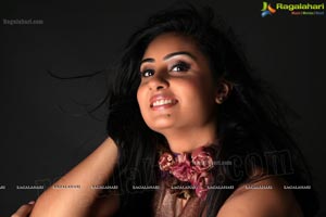 Bhanu Shree Mehra Photo Shoot