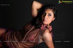 Bhanu Shree Mehra Photo Shoot