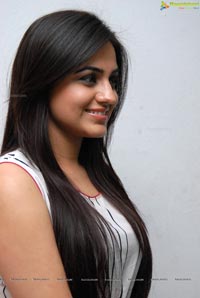 Aksha Pardasany at Gola Seenu Audio Release