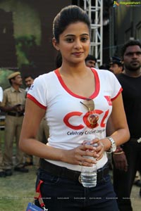 Priyamani at Celebrity Cricket League 2013