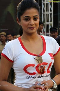 Priyamani at Celebrity Cricket League 2013