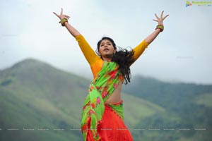 Anjali Telugu Heroine Hot Images