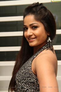 South Indian Actress Madhavilatha