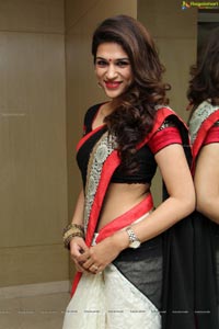 Shraddha Das in Saree