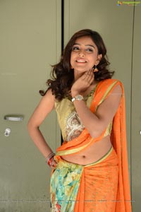 Vithika Sheru in Saree