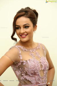 Bollywood Actress Seerat Kapoor