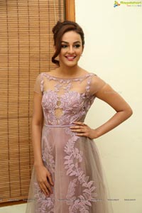 Bollywood Actress Seerat Kapoor