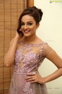 Bollywood Actress Seerat Kapoor