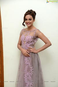 Bollywood Actress Seerat Kapoor