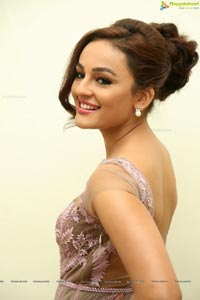 Bollywood Actress Seerat Kapoor