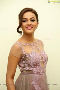 Bollywood Actress Seerat Kapoor