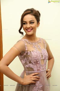 Bollywood Actress Seerat Kapoor