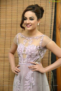 Bollywood Actress Seerat Kapoor