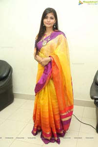 Singer Vocalist Chinmayi