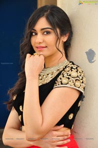 Adah Sharma HD Wallpapers