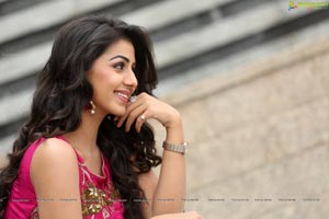 Krishashtami Heroine Nikki Galrani 