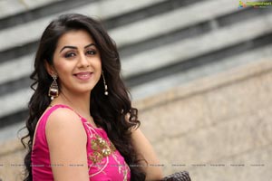 Krishashtami Heroine Nikki Galrani 