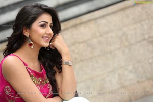 Krishashtami Heroine Nikki Galrani 