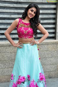 Krishashtami Heroine Nikki Galrani 