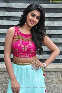 Krishashtami Heroine Nikki Galrani 