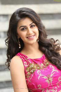 Krishashtami Heroine Nikki Galrani 