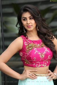 Krishashtami Heroine Nikki Galrani 