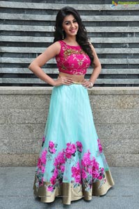 Krishashtami Heroine Nikki Galrani 