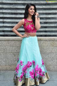 Krishashtami Heroine Nikki Galrani 