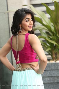 Krishashtami Heroine Nikki Galrani 