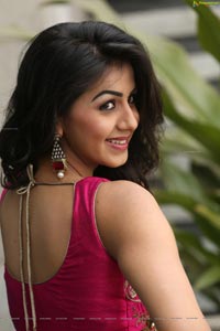 Krishashtami Heroine Nikki Galrani 