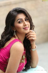 Krishashtami Heroine Nikki Galrani 