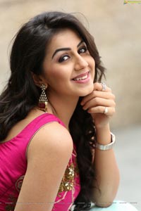 Krishashtami Heroine Nikki Galrani 