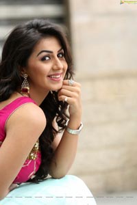 Krishashtami Heroine Nikki Galrani 