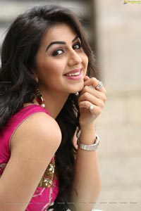 Krishashtami Heroine Nikki Galrani 