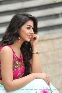 Krishashtami Heroine Nikki Galrani 