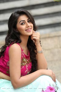 Krishashtami Heroine Nikki Galrani 