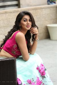 Krishashtami Heroine Nikki Galrani 