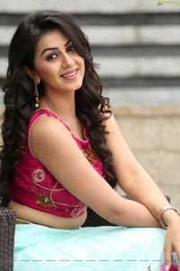 Krishashtami Heroine Nikki Galrani 