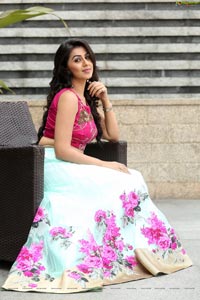 Krishashtami Heroine Nikki Galrani 