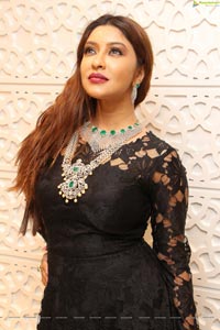 Payal Ghosh HD Stills