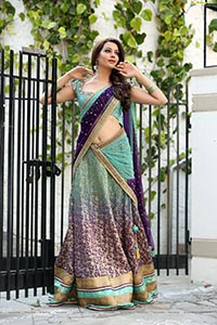 Deeksha Panth in Saree