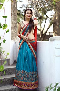 Diksha Panth in Half Saree