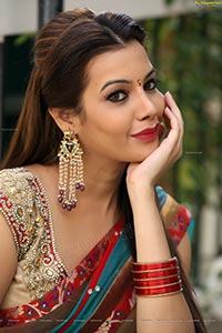 Diksha Panth in Half Saree