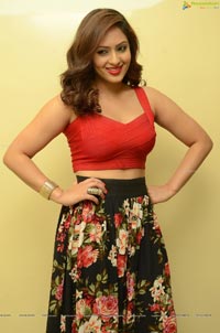 Karai Oram Heroine Nikesha Patel