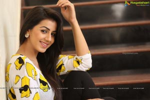 Nikki Galrani Pics