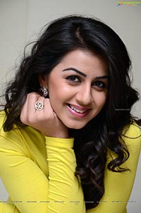 Nikki Galrani HQ Photos